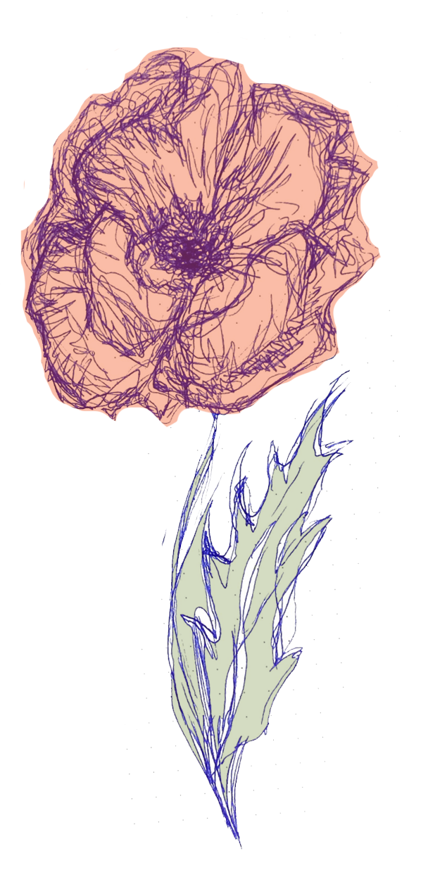 Poppy Drawing Honoring 'V'